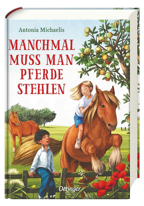 Buchcover Manchmal muss man Pferde stehlen von Antonia Michaelis